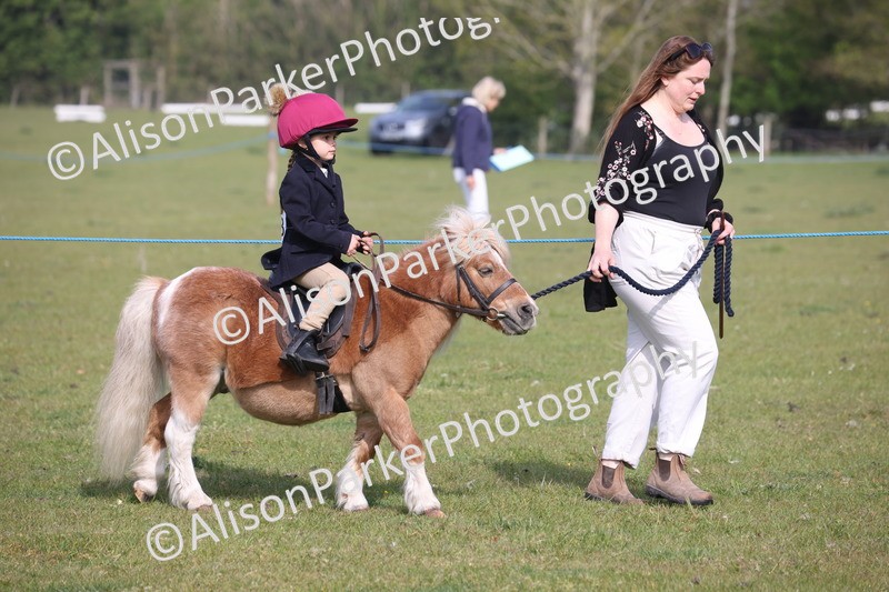 20260426-0276 - Class 30 - Tiny Tots Lead Rein