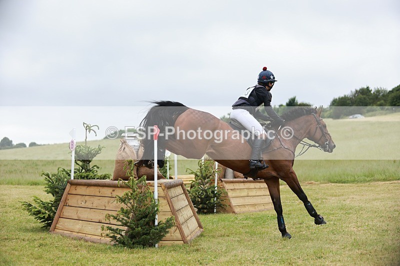 240630X-111423-5855 - 353-Hani_Milstein-COCCINELLE