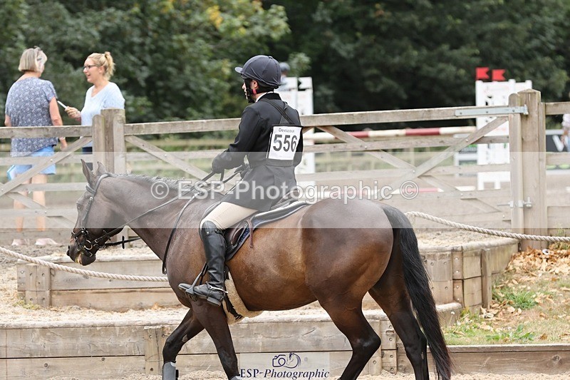 250803A-120502-12626 - M-556-Alex.Jupp-CARRY.ON.REGARDLESS