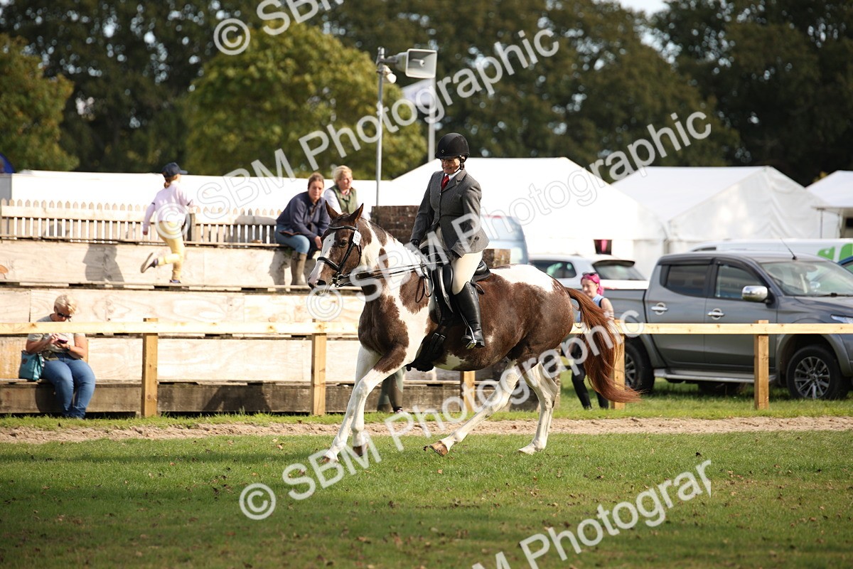 SBM_50191 - S26 - Young Veteran - Ridden