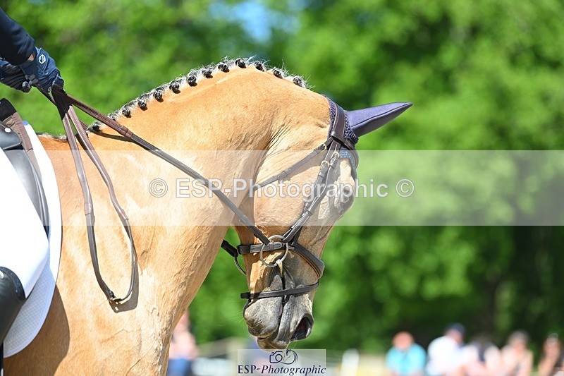 230526-104648-05695 - 464-GRANDE_BY_DESIGN-Emma_Manton-DR