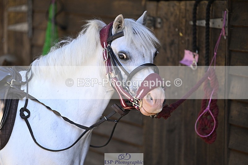 240728B-093147-00041 - Sunday Stable Shots and Fancy Dress