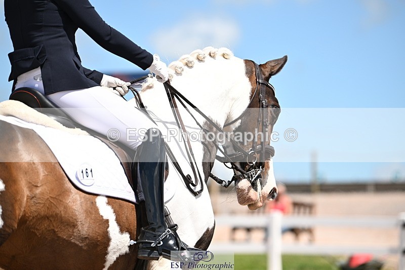 240621A-140818-04212 - Cls 8 BD Elementary 53