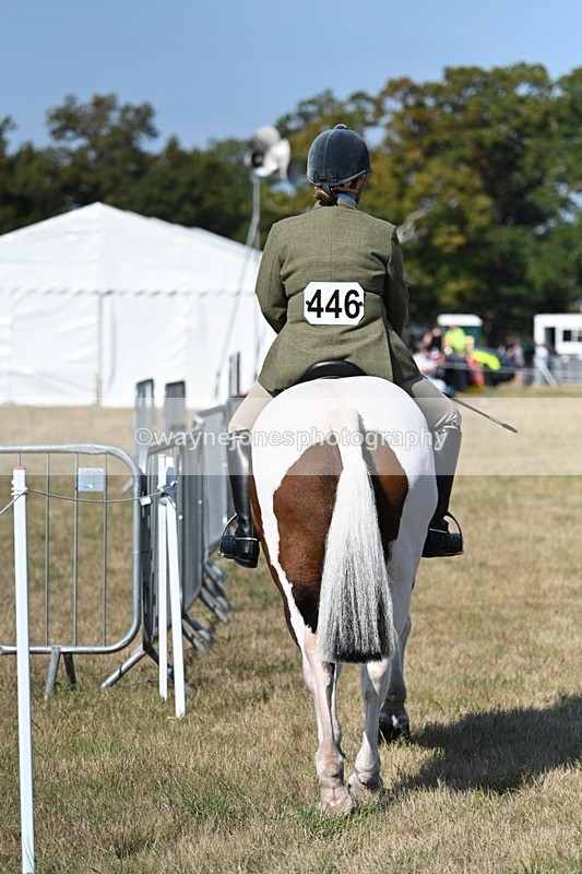 WJ7_3096 - Class 8 Ridden Tack & Turnout