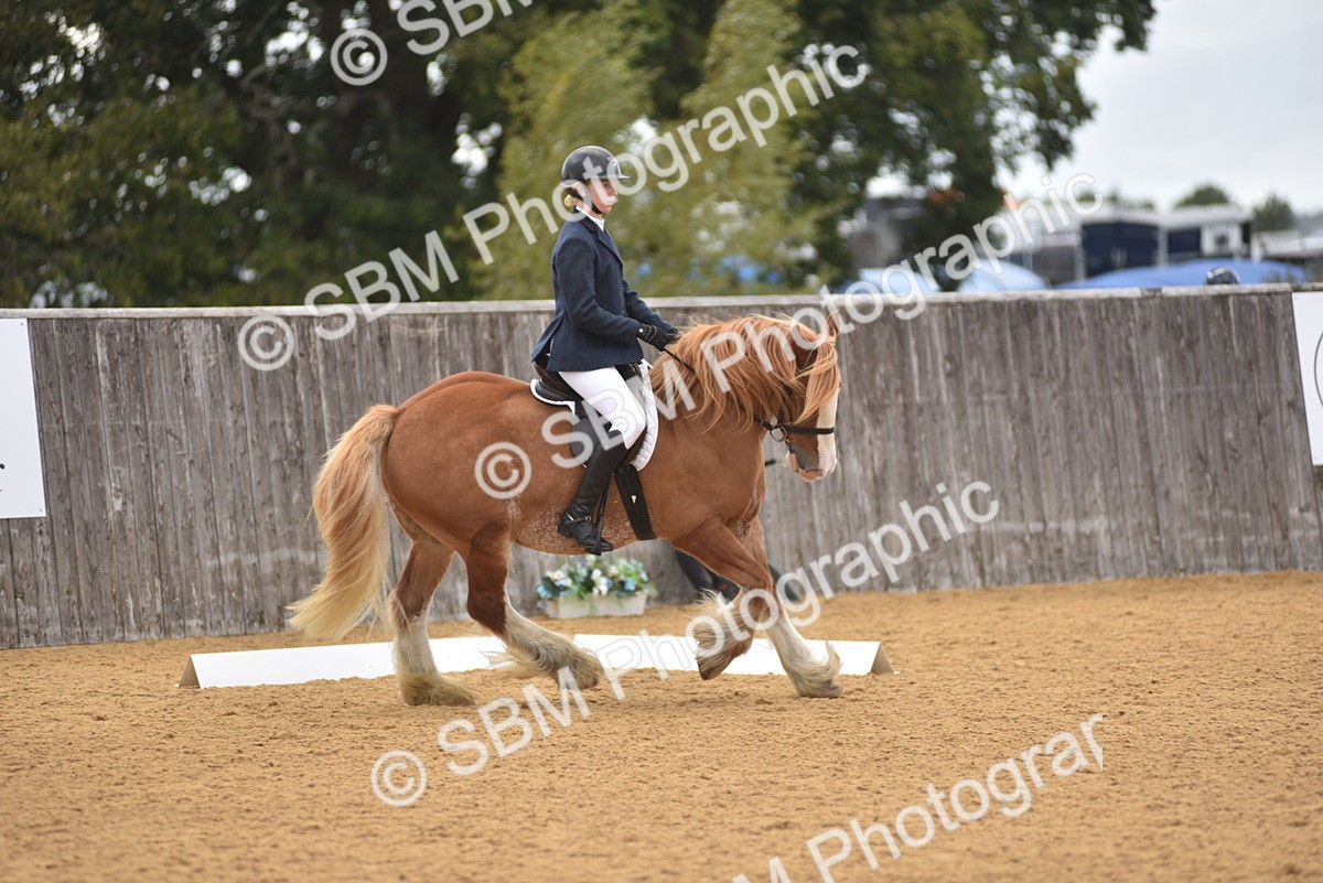 SBM_29612 - D16 -Small Tour Championship Novice 2