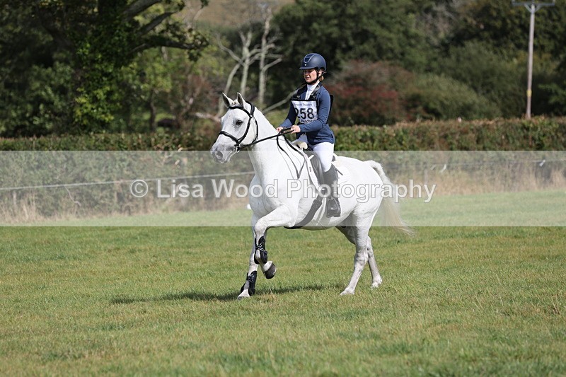 JPP_8822 - Class 2: Trekenning: 80cm Showjumping