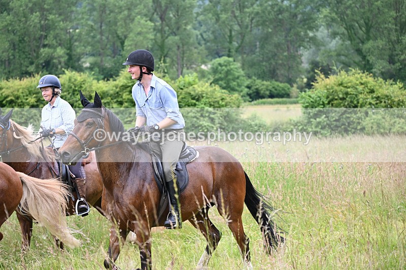 WJ6_8469 - Camera 1 Gallops