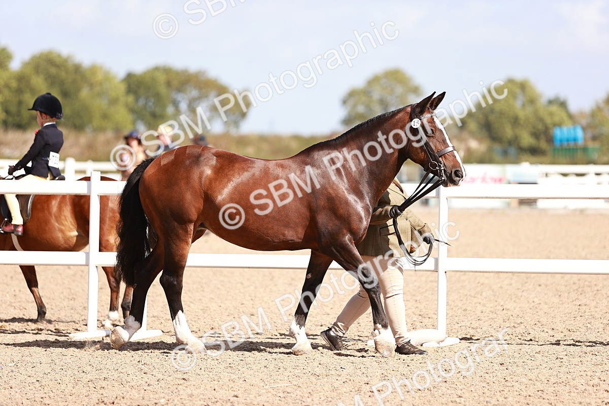 SBM_22939 - Class 707 - IH groom Helpers Class
