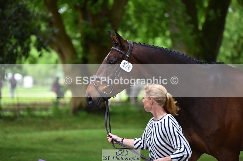 240522-170152-01337 - 274-JACK_OF_CLUBS-Rosalind_Canter