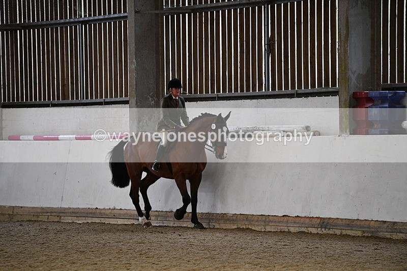 WJ5_8771 - Class 15 Ridden Show Horse