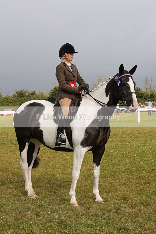 1X9A2947 - Class 25: Ridden Plaited Coloured Horse
