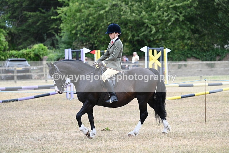 WJ7_0463 - Class 6 Ridden Mountain and Moorland