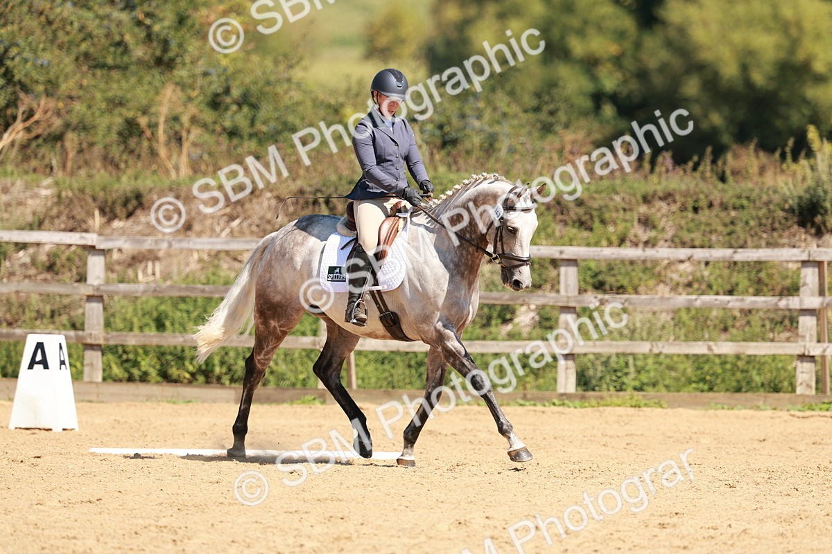 SBM_010965 - Class 7 - Novice 2