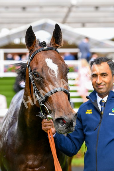 150723-Race 5-Specific Times-0578 - Race 5 4.20pm John Smith's Nursery Handicap
