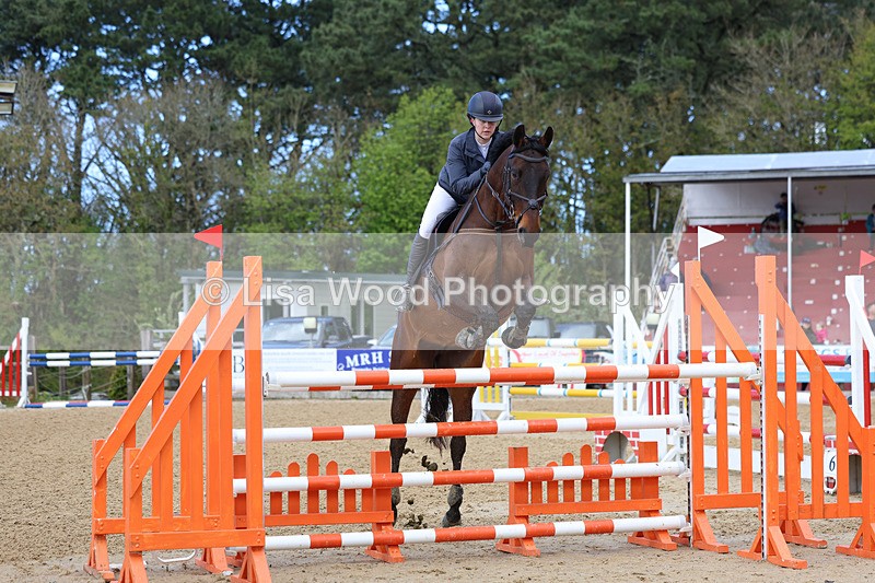 3E7A2065 - Class 8: Senior Foxhunter/1.20 open