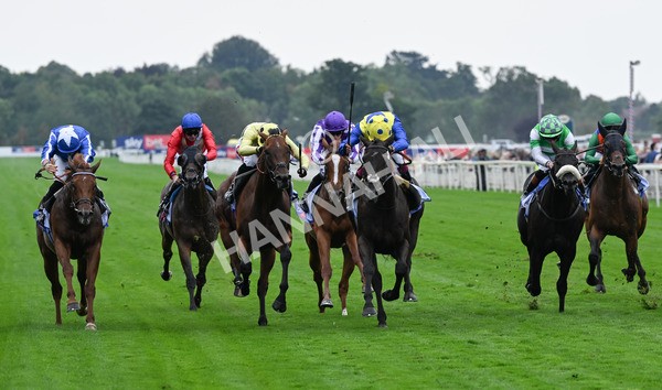 230825-064 Never So Brave - Race 3 3.00pm Sky Bet City Of York Stakes