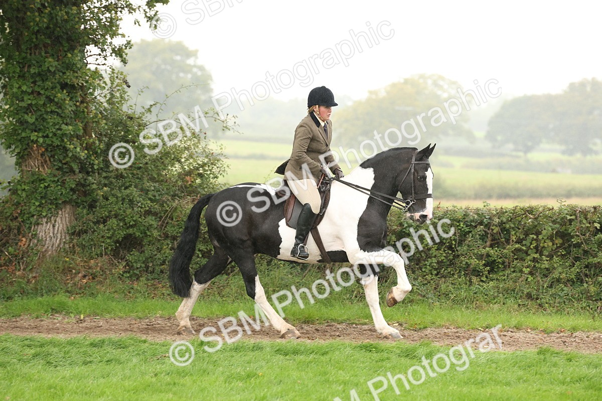 SBM_69800 - S69 - Show Cob Ridden