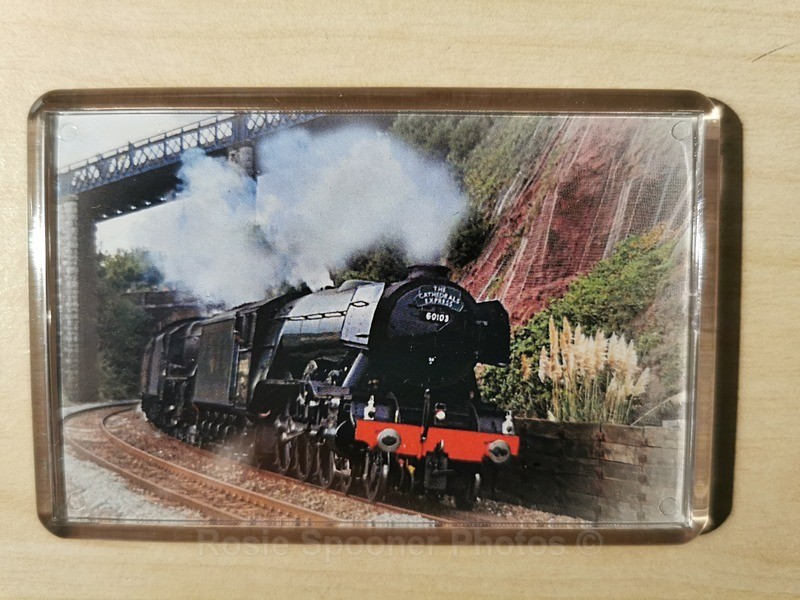 Fridge Magnets - Flying Scotsman Teignmouth - FRIDGE MAGNETS