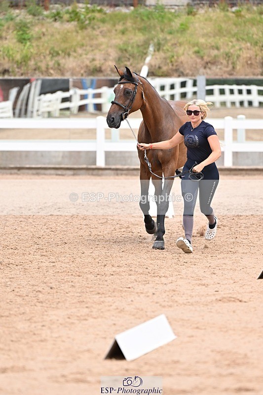 250716-142037-01022 - Trot Up 1.30 to 2.30