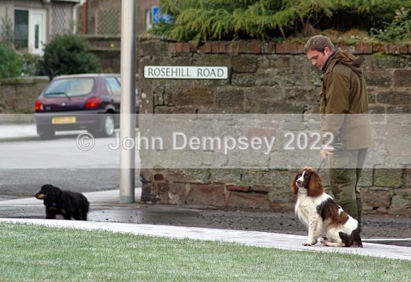 How To Behave - Walking the Dog