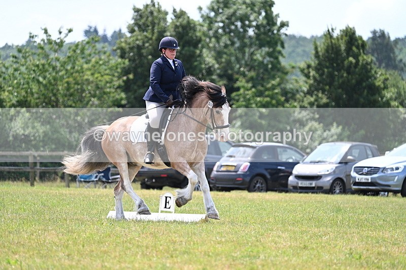 WJ7_8184 - Time 13:35 to 13:40