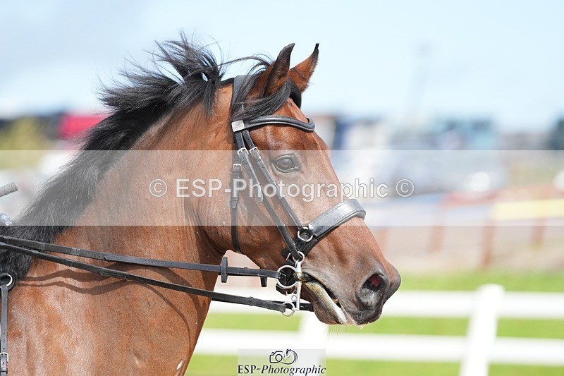 250911-142129-02291 - Cls 13 1.05m Amateur Champ