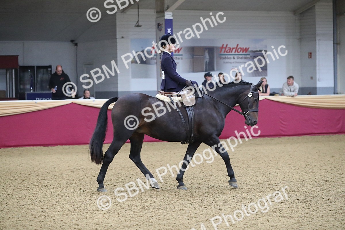 SBM_09328 - Class 101 Equitation (best rider), Junior