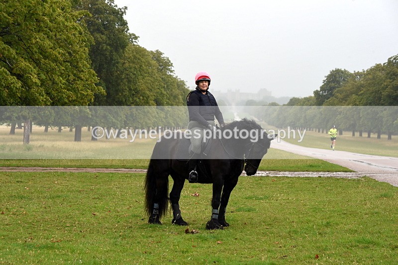 TT3_8031 - Time at Crossing 09:15 to 10:15