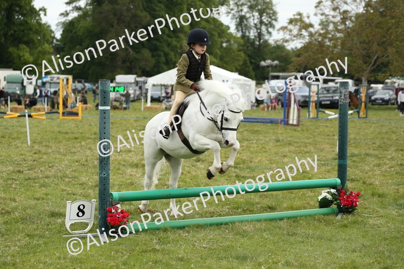 20250517-1081 - Class 21 - Novice Working Hunter