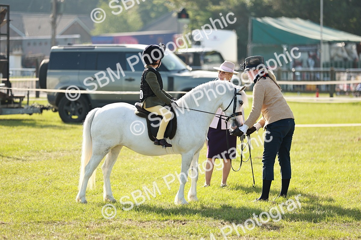 SBM_11228 - Class 106-107 - BSPS LIHS Working Sports Pony