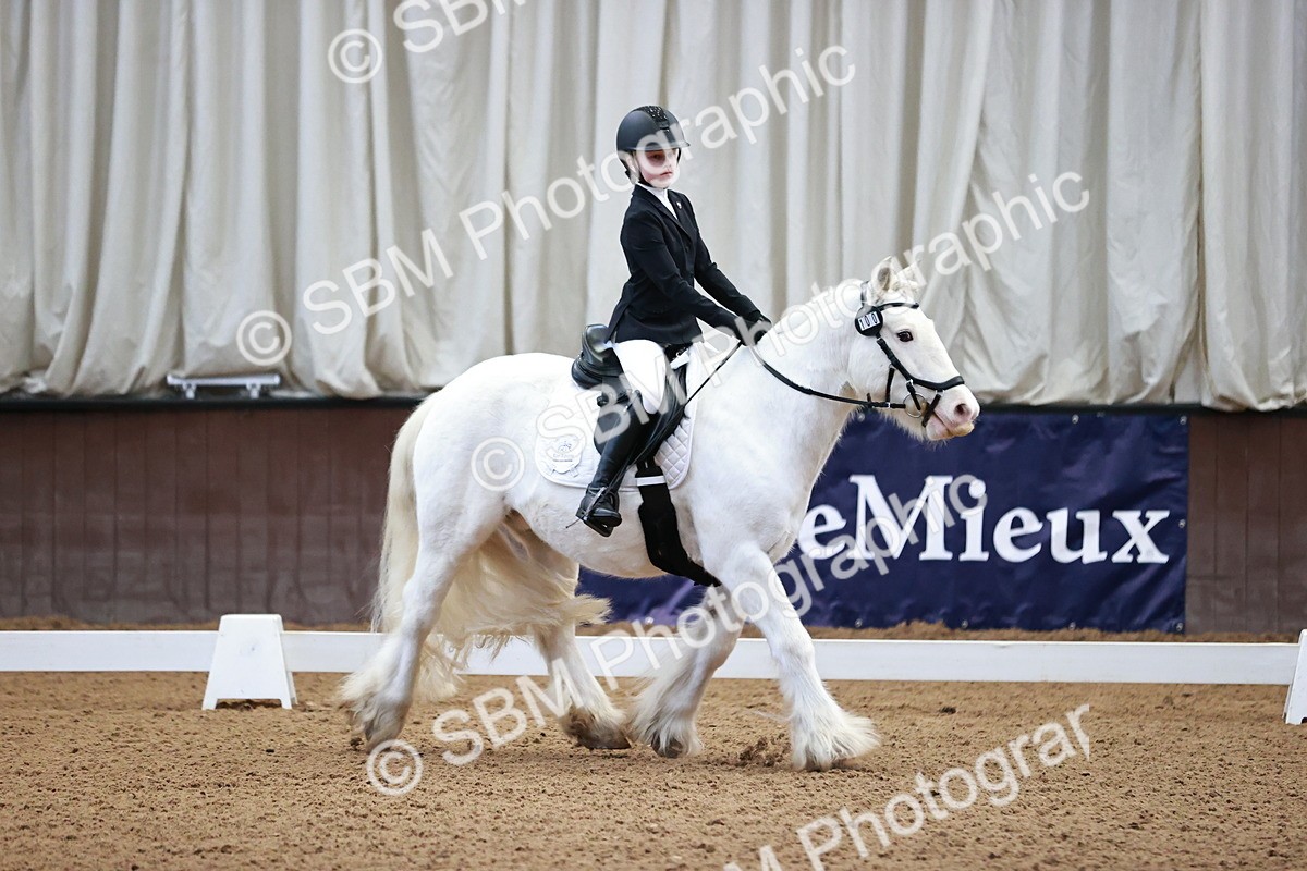 SBM_000005 - Class 1, 2, 6 MQ Intro 2 and Open Prelim 2