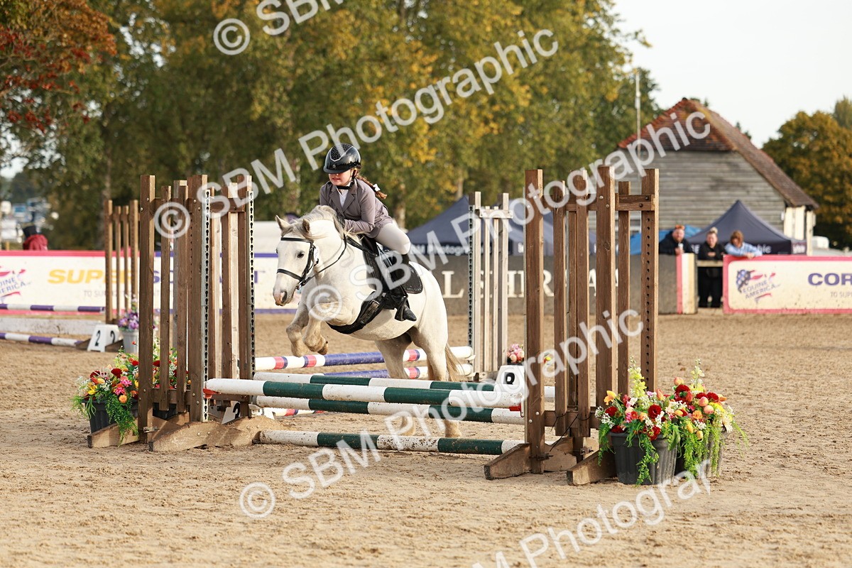 SBM_55563 - J11 - Junior Pony 50cm Championship