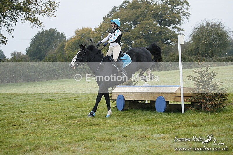 WWHT 181020 WWHT 181020 205 - WWEC Novice Restricted (0.80m) 18/10/20