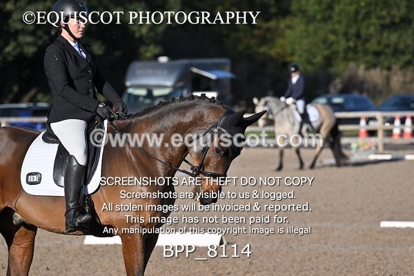 BPP_8114 - LONG ARENA