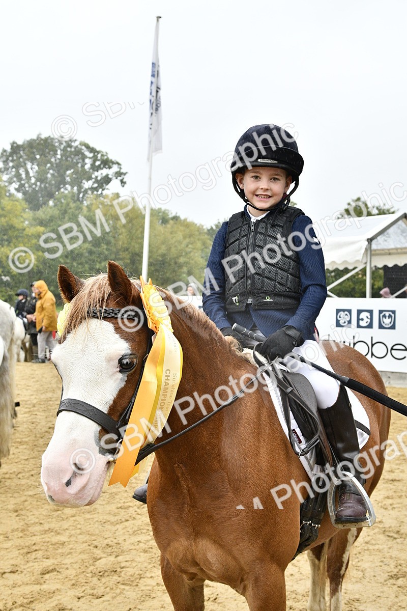 SBM_71045 - J3 - Mini Tour Junior Pony 40cm championship