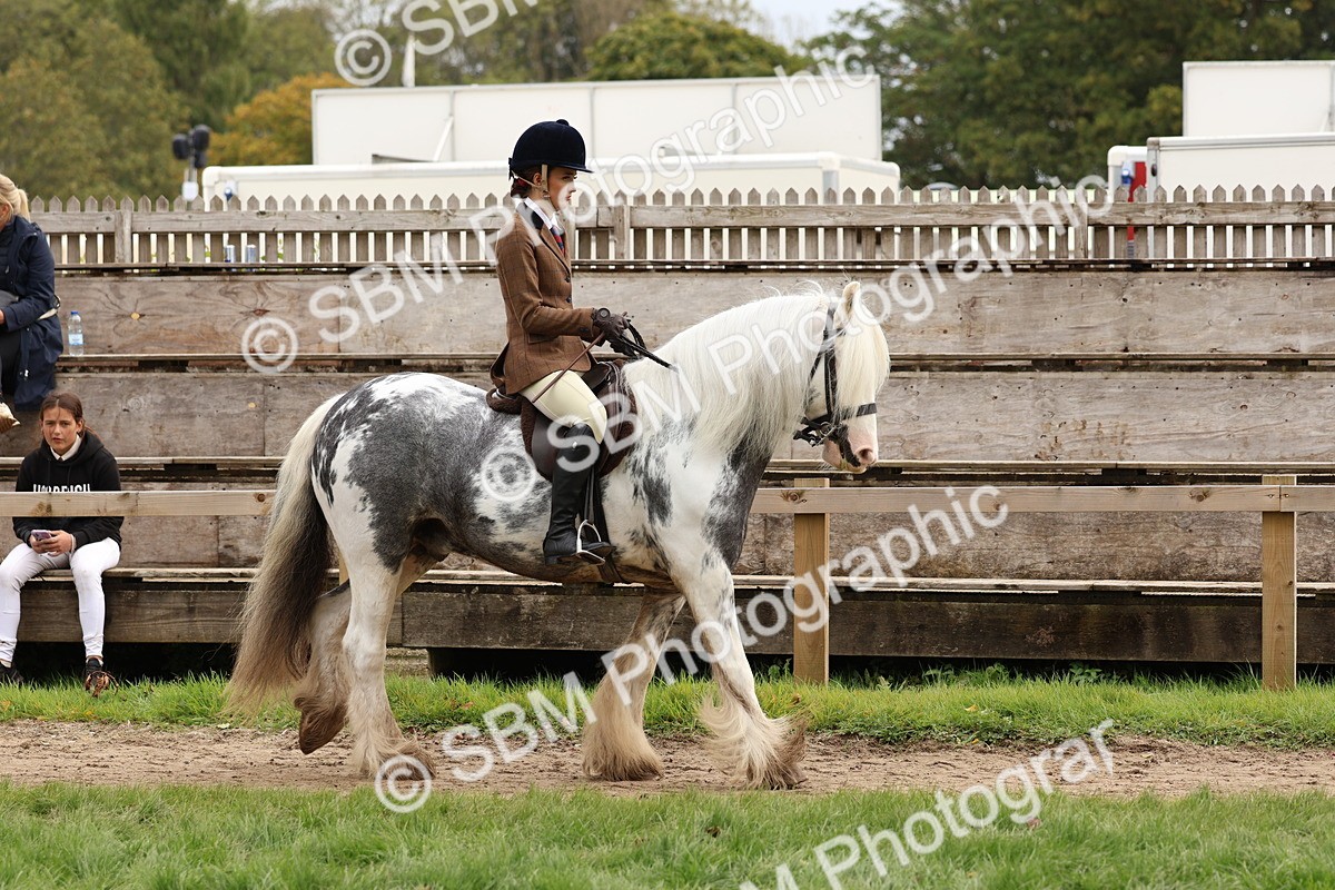 SBM_64380 - S58 - Coloured Pony Ridden