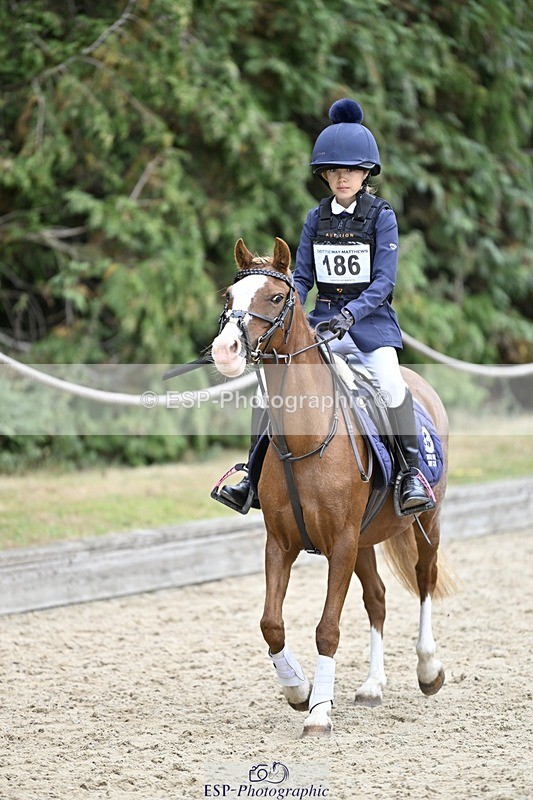 250820A-115714-03978 - Round 1, 11am to End