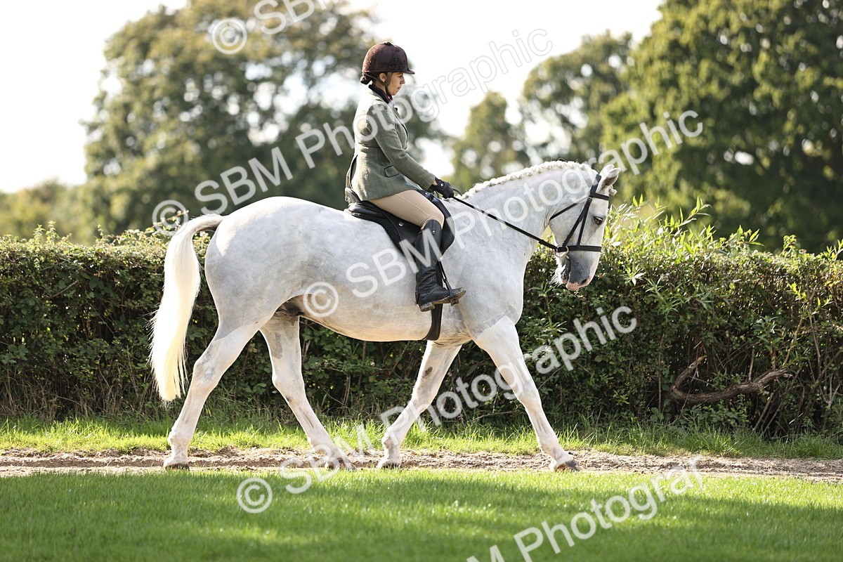 SBM_26341 - S6 - Novice & Newcomers Ridden Horse