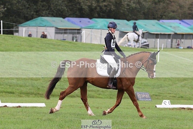 231019-153552-04931 - 556-SHANNONDALE.MOCHA-Lucy.Davies-DR