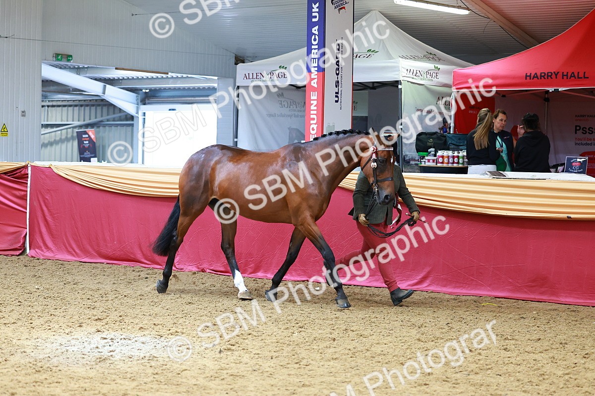 SBM_04366 - Class 9R - IH Pre-Vet