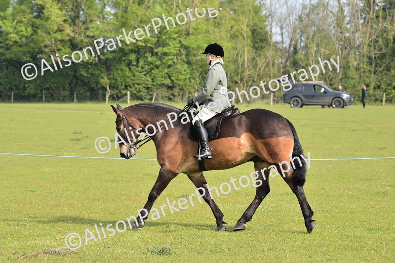 20260426-0883 - Class 18 - Novice Showing