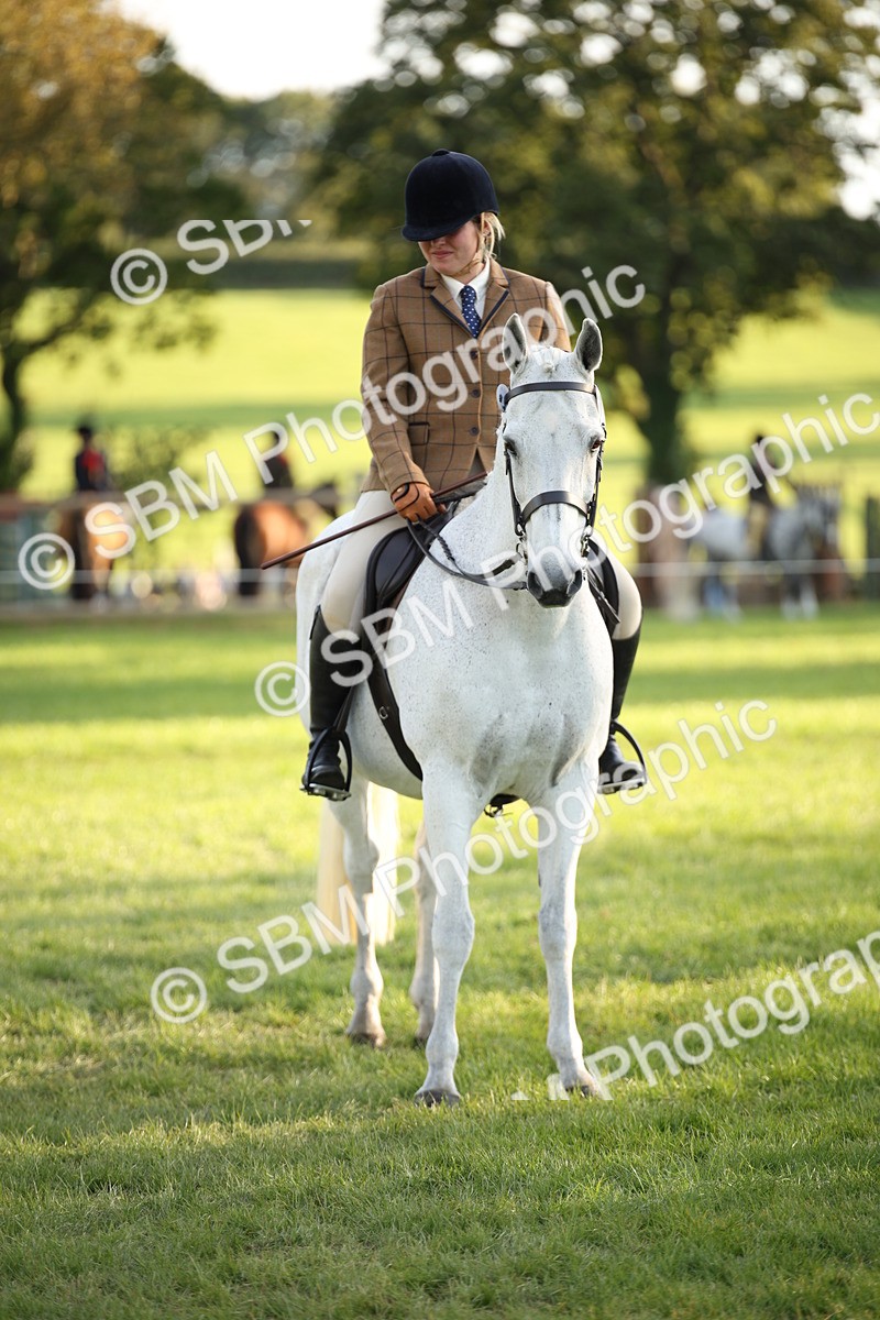 SBM_54433 - S27 - Mature Veteran - Ridden