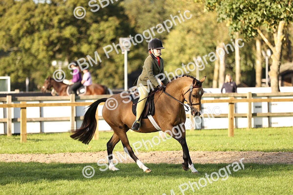 SBM_29589 - S7 - Novice & Newcomers Ridden Pony