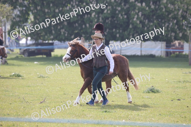 20260426-0313 - Class 30 - Tiny Tots Lead Rein