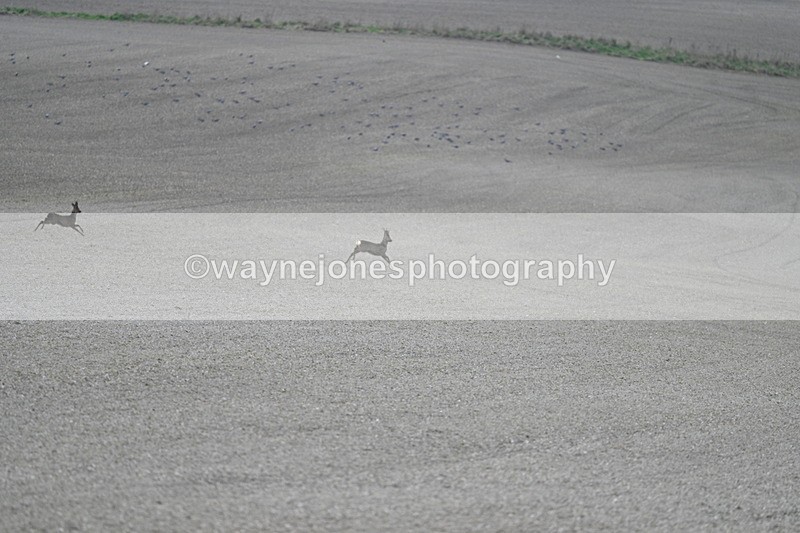 WJ7_7965 - Line 2 A camera