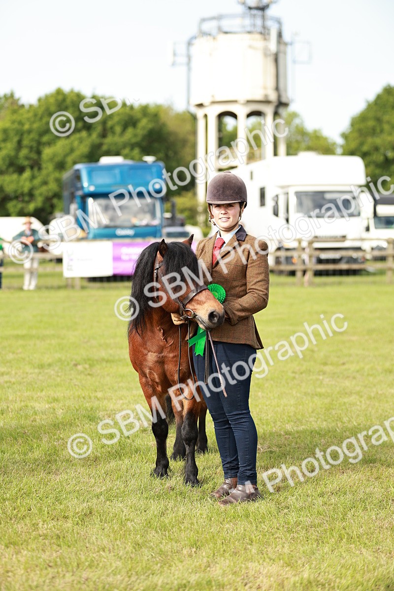 SBM_00561 - Class 14-23 - Mountain & Moorland In Hand Non Welsh