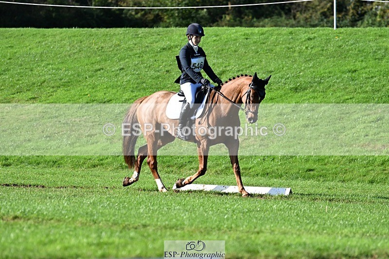 241025-112410-07133 - 546-Jennifer.Jaques-AURELIA.COOL