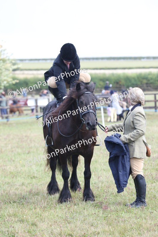 20250831-2436 - Class 16 - Family Pony