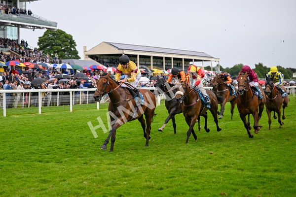 150624-Race 6-Pisanello-8002 - Race 6 4.45pm Ice Co Supporting Macmillan Handicap