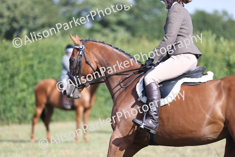 20250831-0928 - Class 14 - Ex Racehorse